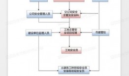 广东今日关注爆料流程图,一图览尽信息传播奥秘